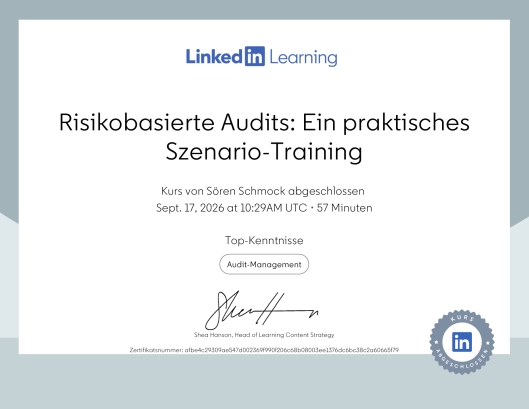 Risikobasierte Audits: Ein praktisches Szenario-Training